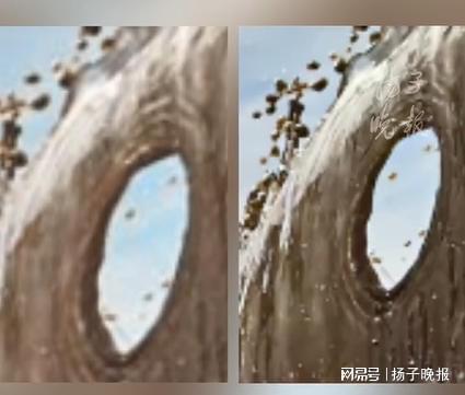 影大展一入展作品确认剽窃抄袭紫牛热点取消荣誉！中国手机摄(图1)